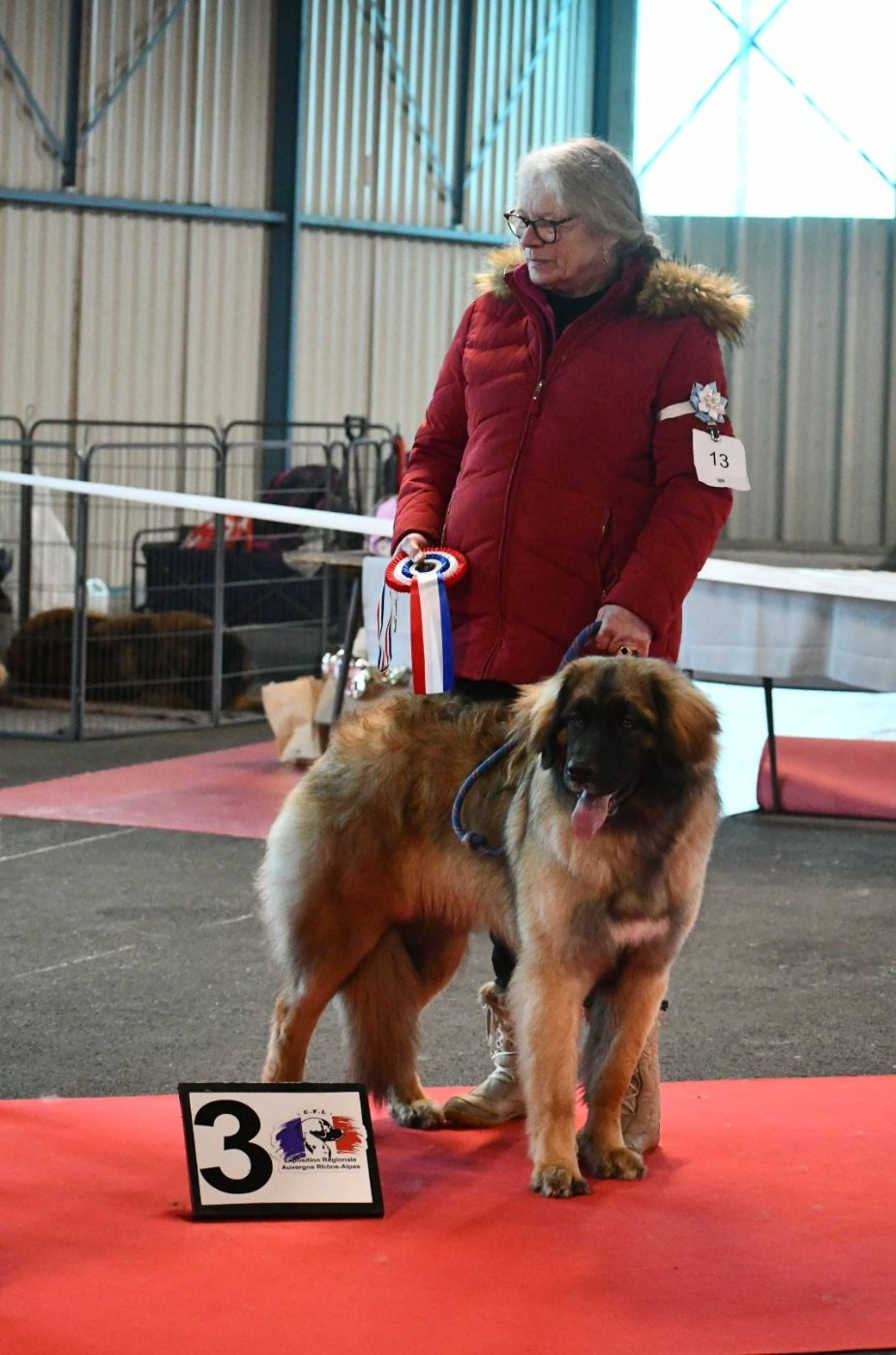 VANDA Au Coeur Cantalou
